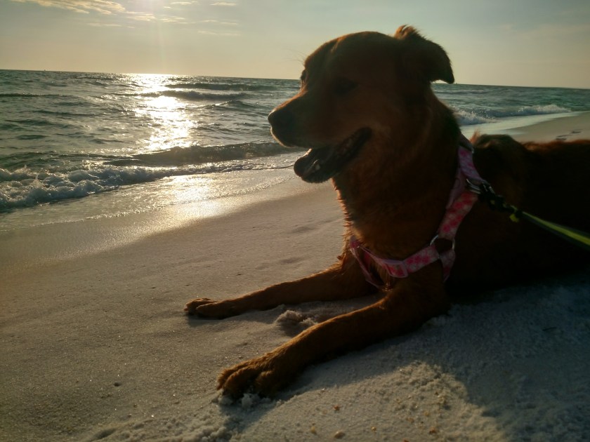 img_20161103_164806557_hdr