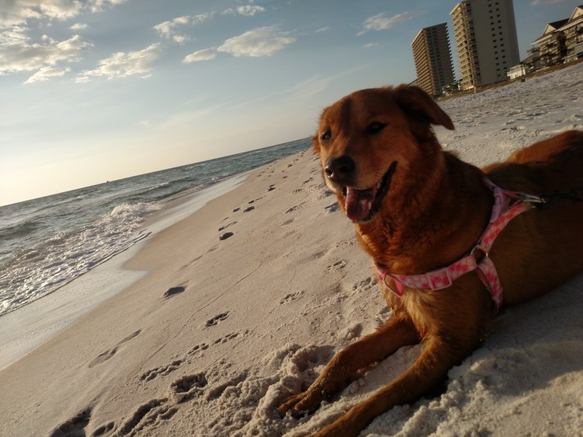 img_20161103_164955356